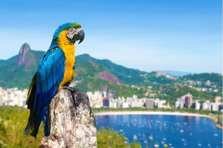 turismo no brasil